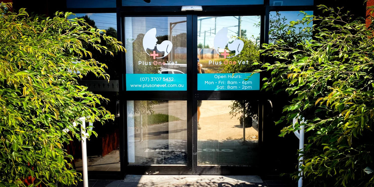 Room / Door Signs
