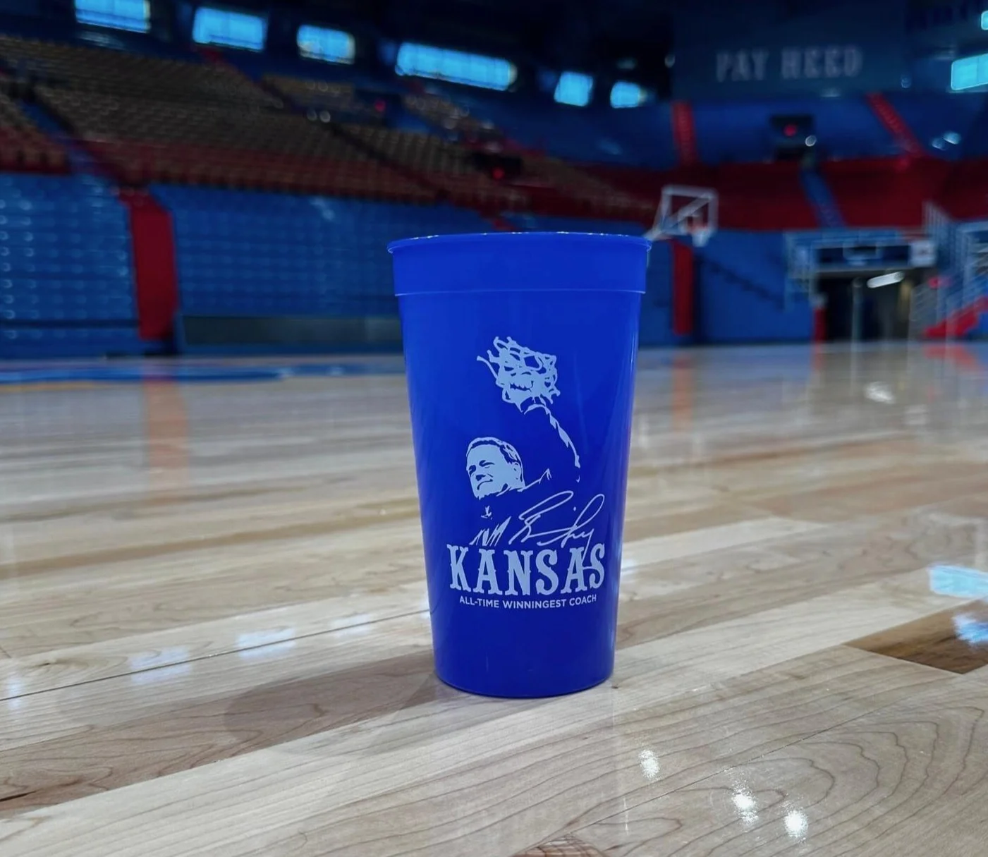 Custom Stadium Cups