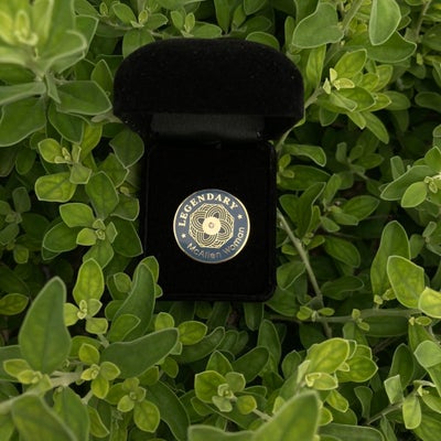 https://cdn.gorilladash.com/images/media/16412296/fully-promoted-usa-lapel-pin-square-67ca273a6bf56.jpg?auto=webp&crop=1%3A1%2Csmart&width=400