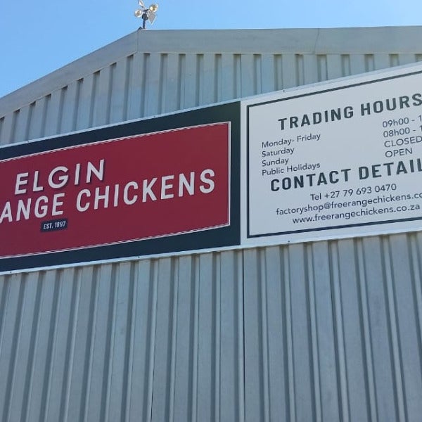 Boost Your Business Visibility with Professional Signage