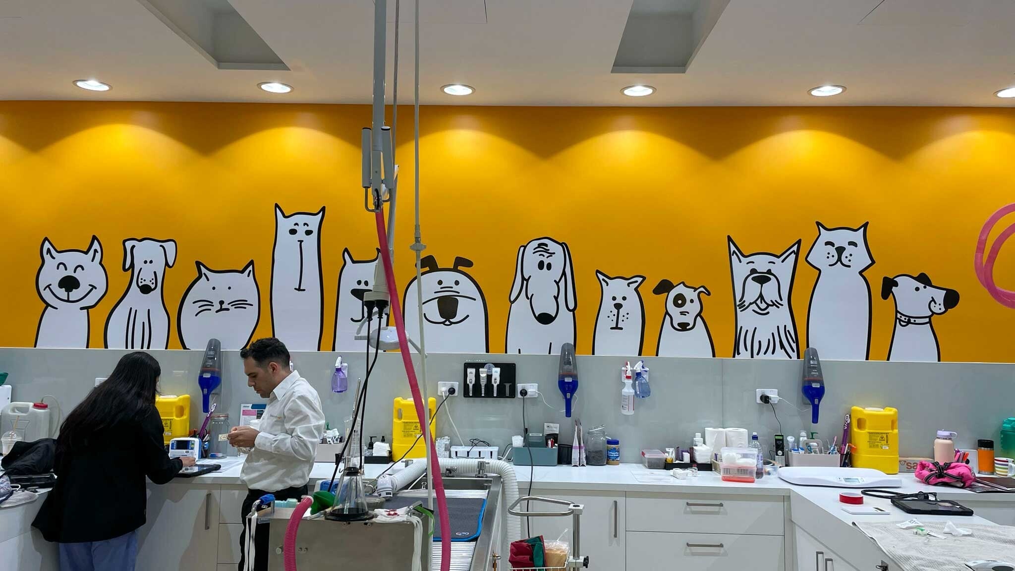 Beecroft Vet