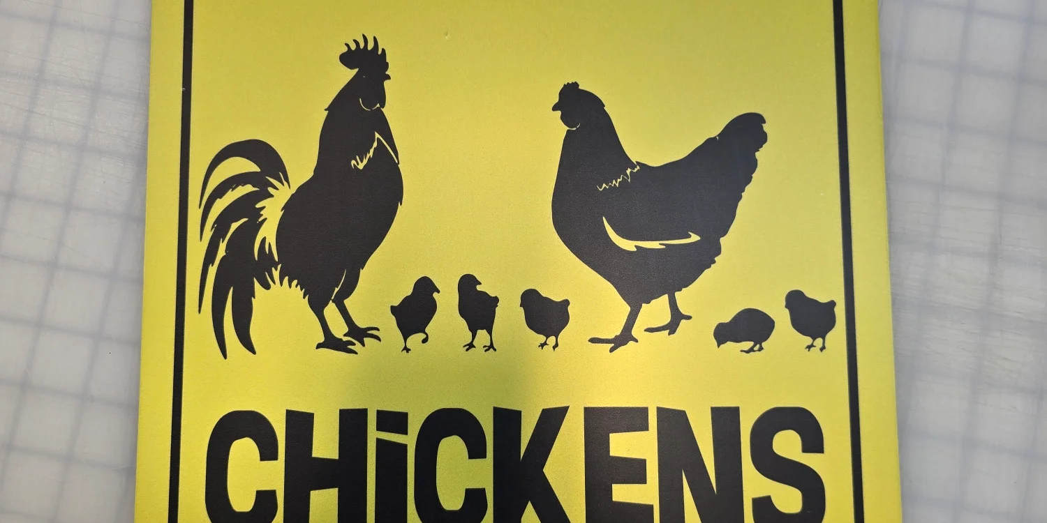 Custom Signs for Business