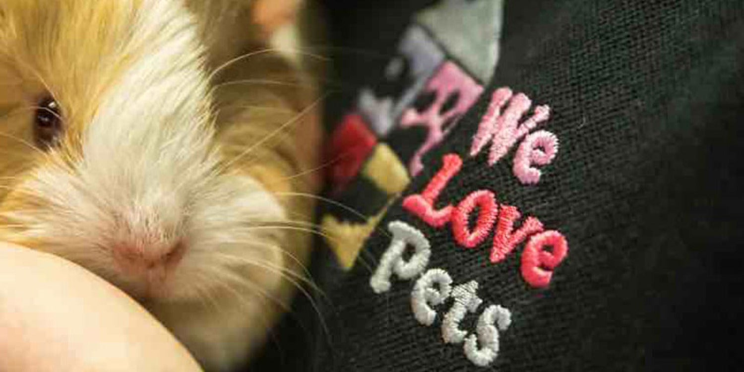 We Love Pets Celebrates 15th Anniversary with Insightful Franchisee Event