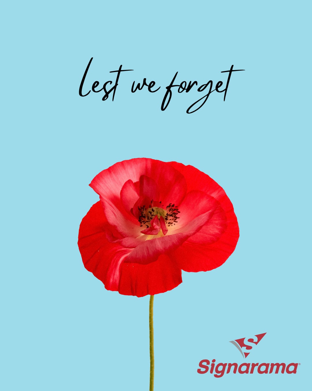 Warm greetings on Anzac Day to everyone and your families.