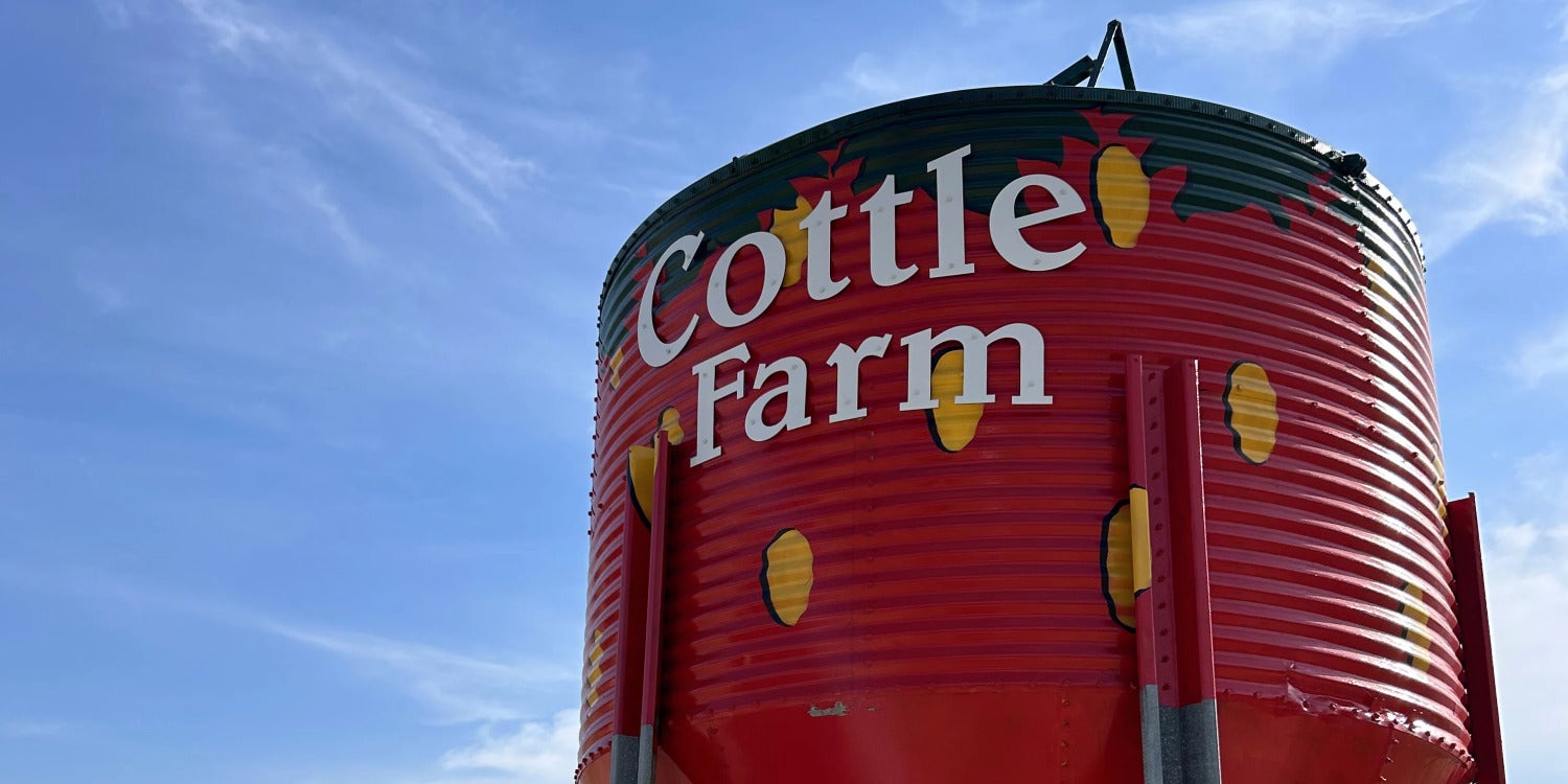 Custom Signs