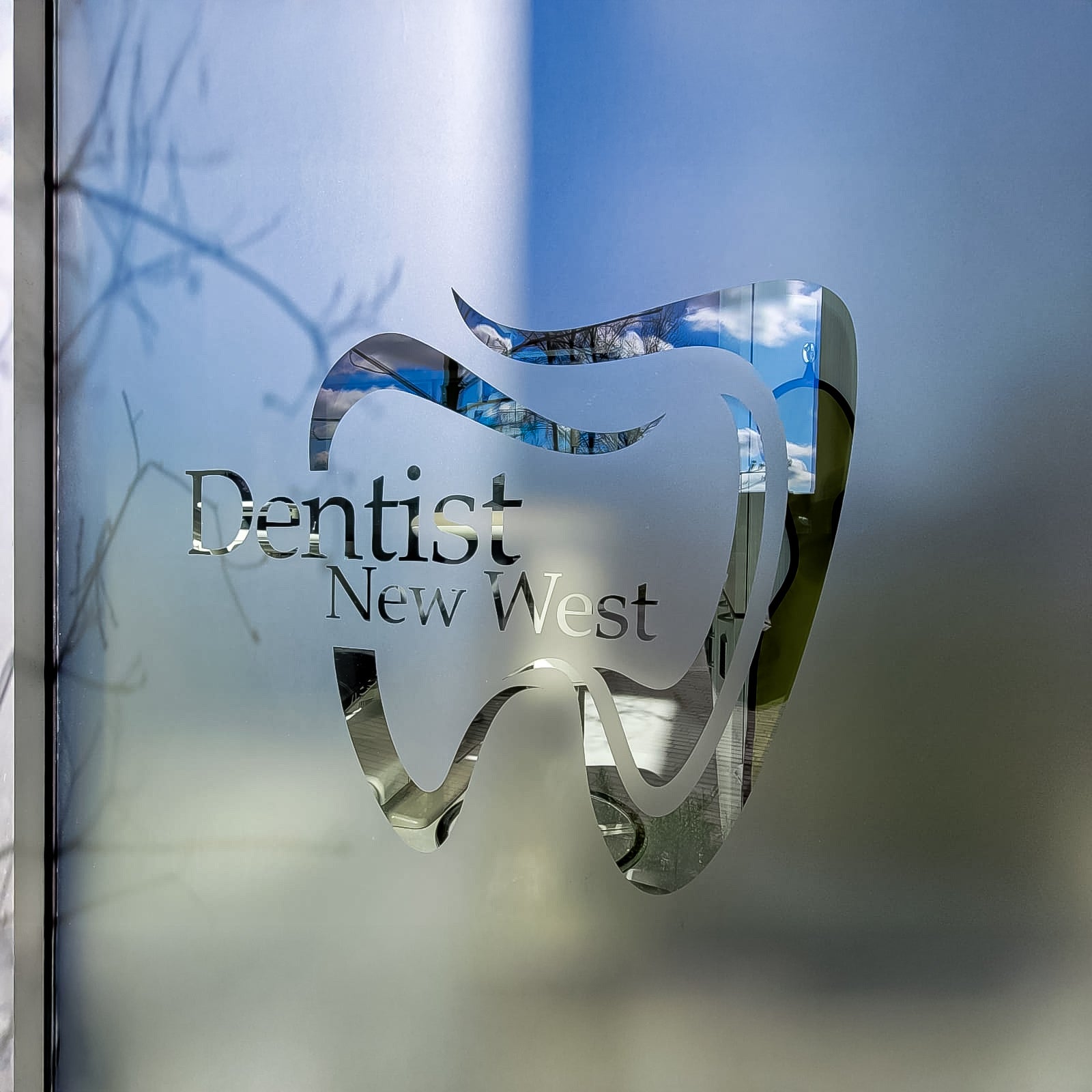 Frosted Vinyl for Dentist New West