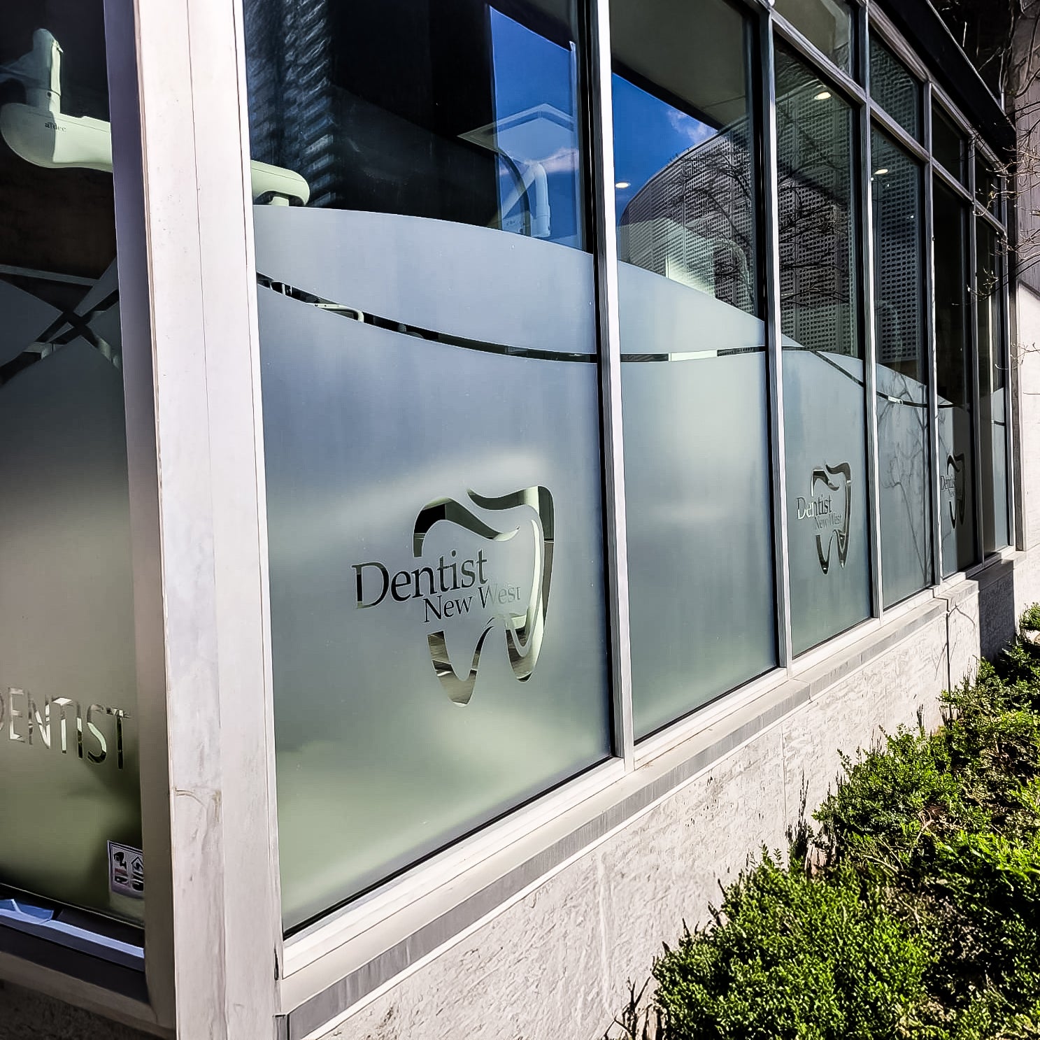Frosted Vinyl for Dentist New West
