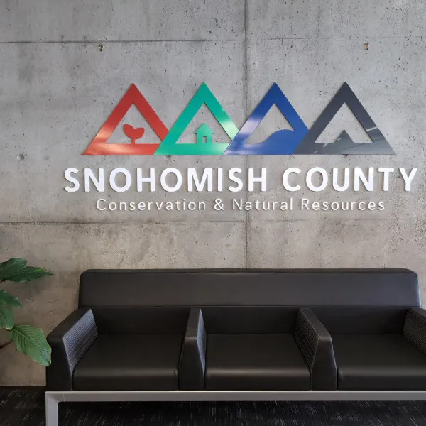 The logo wall
