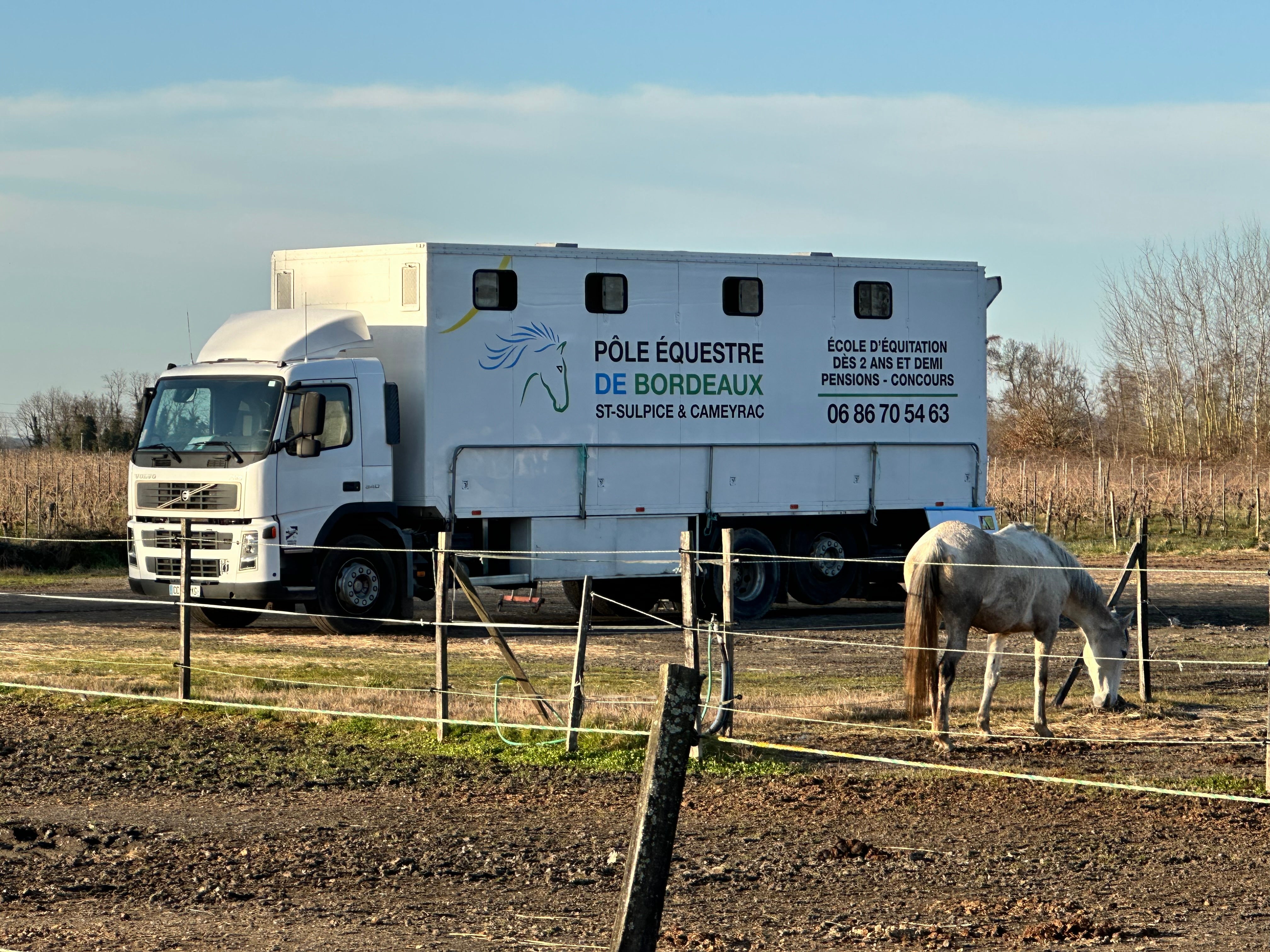 Marquage d'un camion de transports de chevaux pour le Pôle équestre de Bordeaux Saint Sulpice