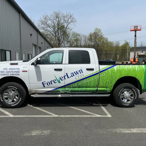 forever Lawn repair
