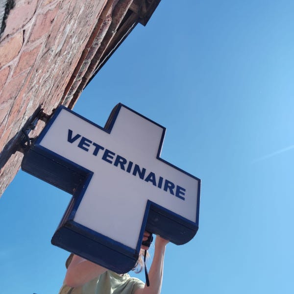 ENSEIGNE CROIX VETERINAIRE
