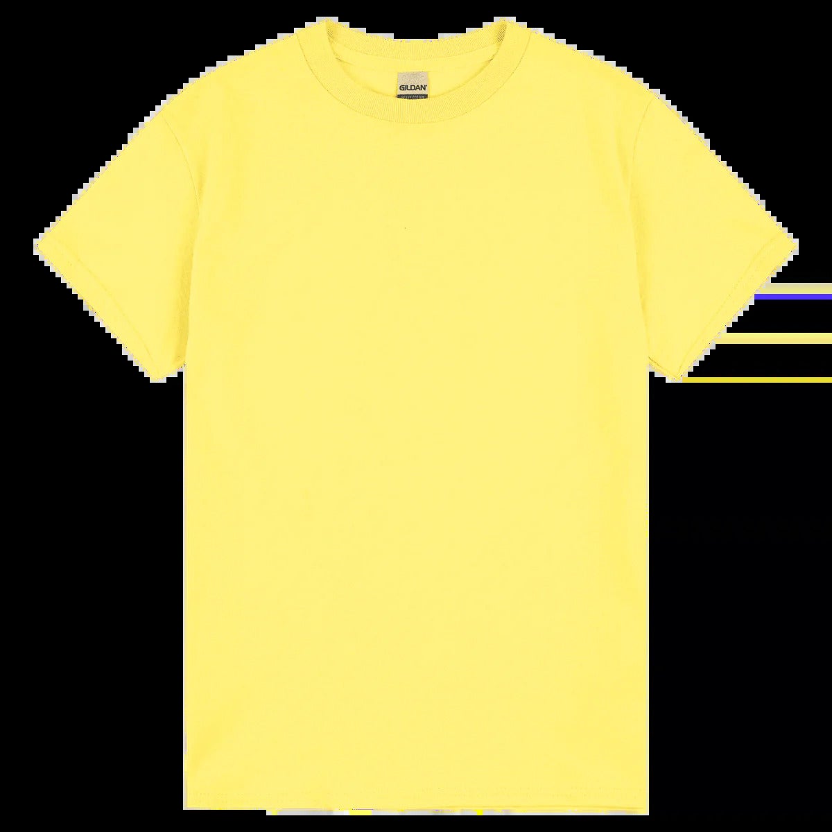 Gildan Heavy Cotton Adult Tee