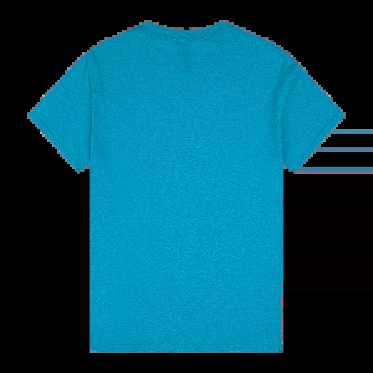 Gildan Heavy Cotton Adult Tee