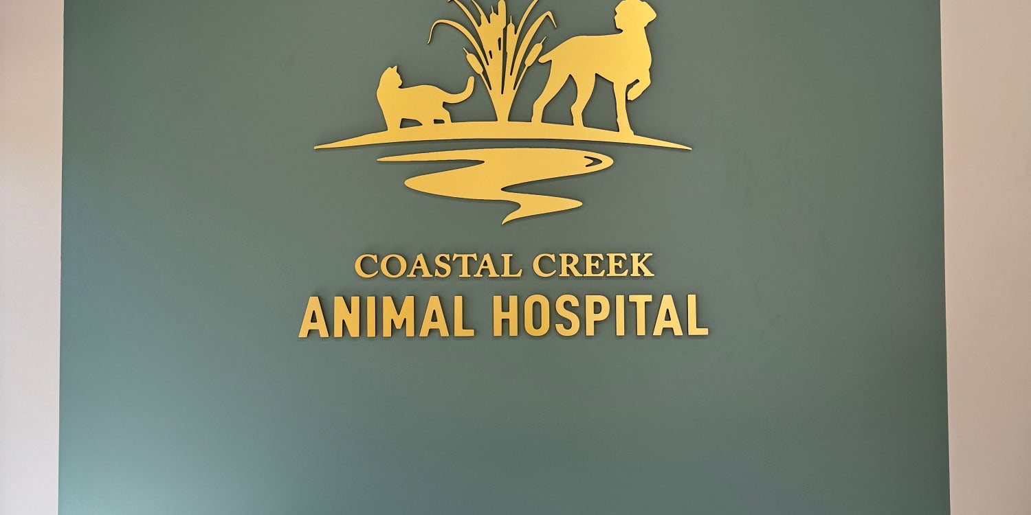Custom Office Signs