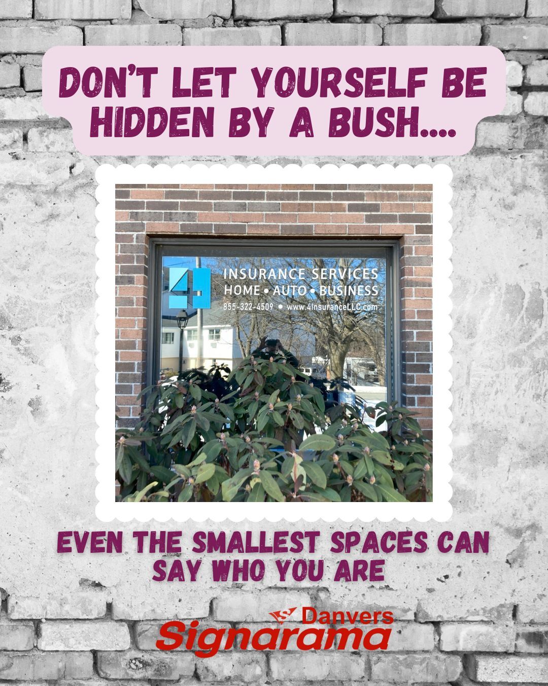 Window Decals, Methuen MA