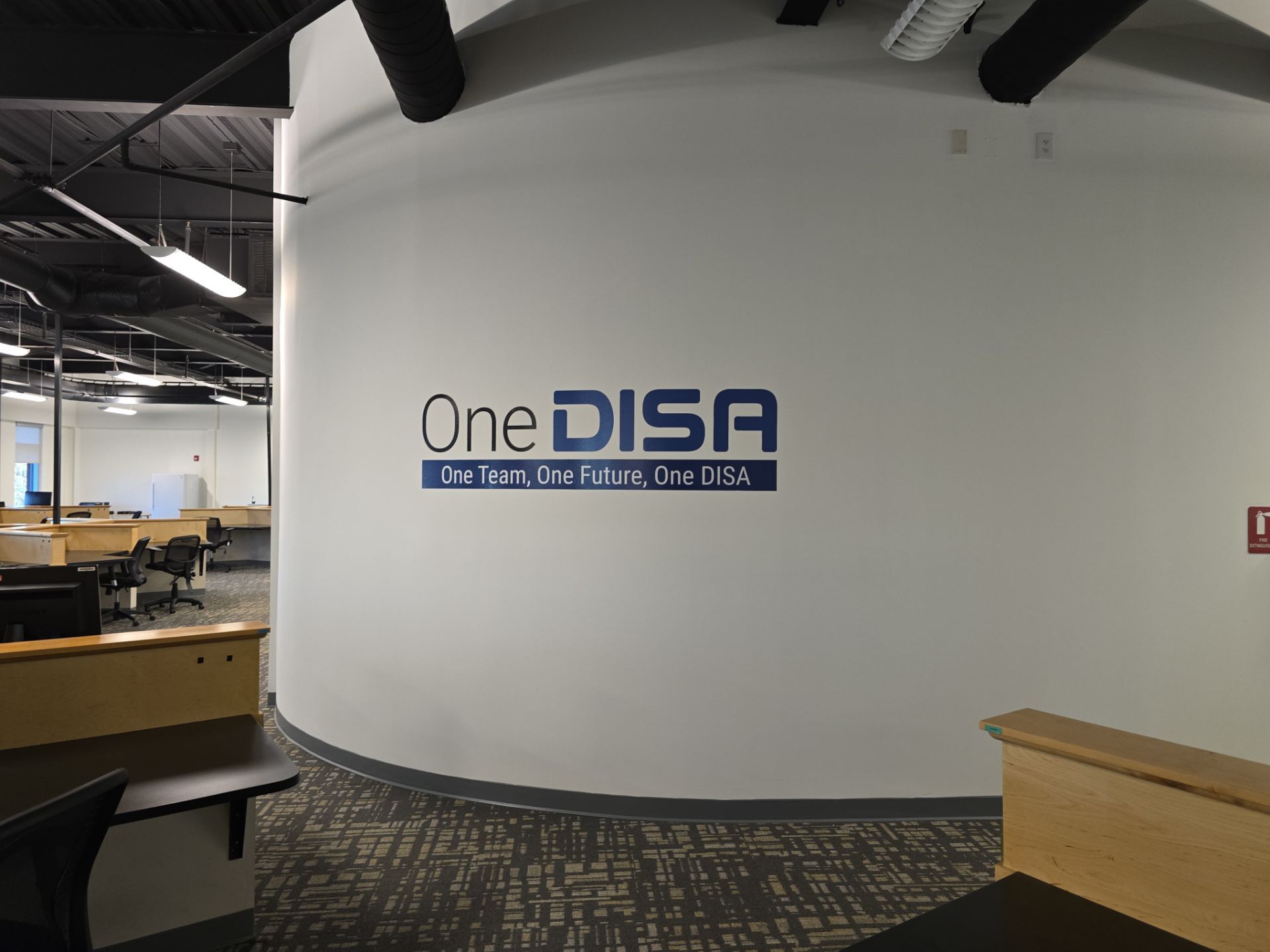 OneDisa