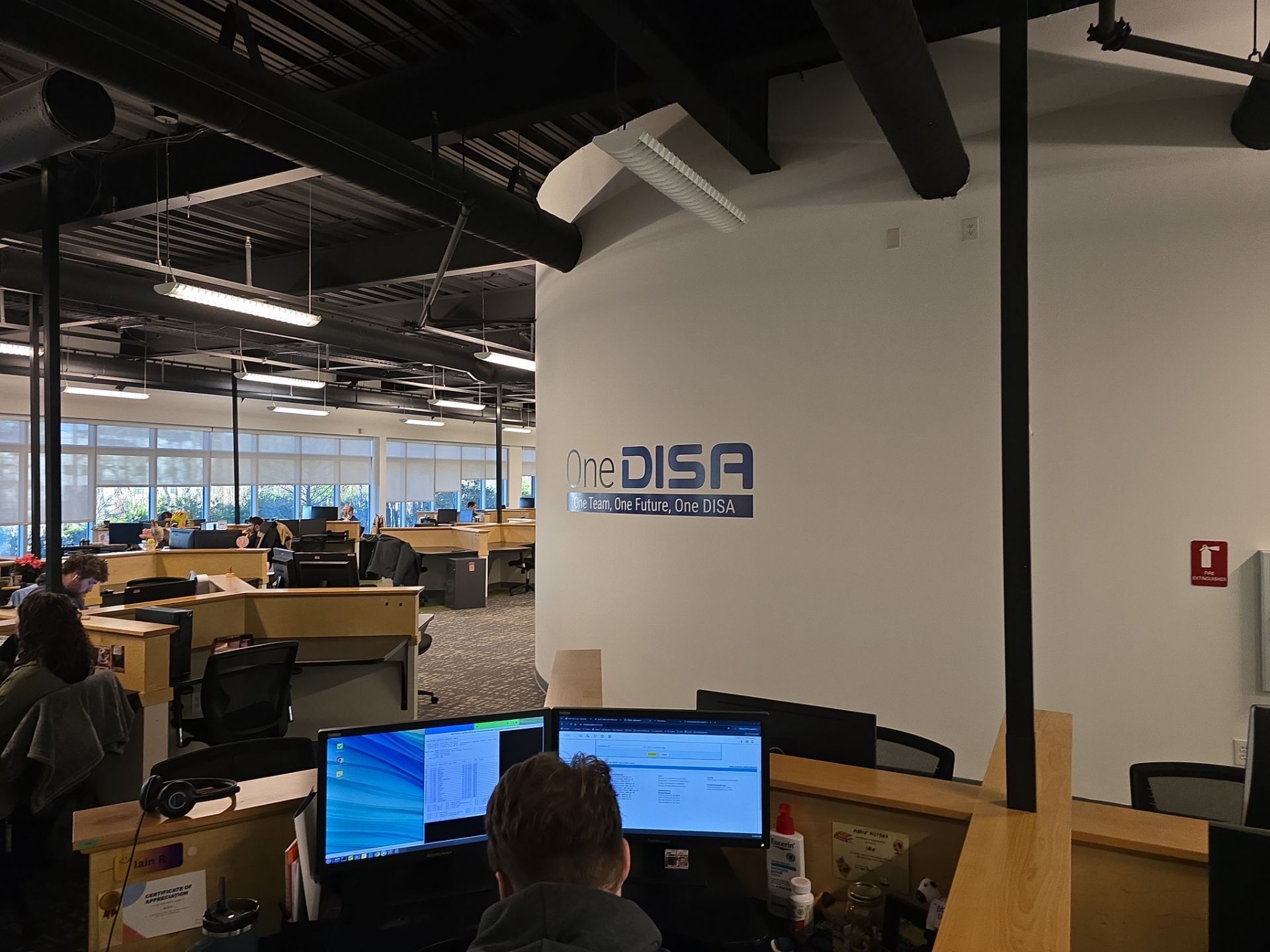 OneDisa
