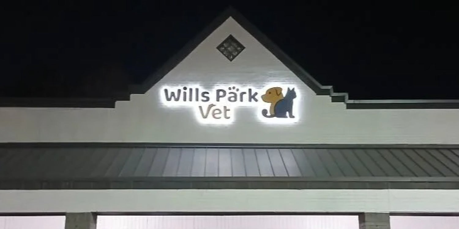 Illuminated Signs That Shine Day and Night