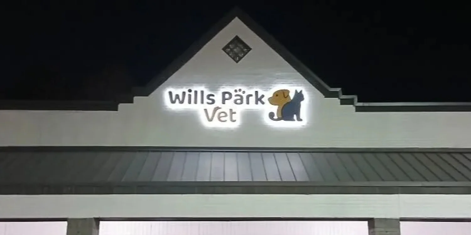 Illuminated Signs That Shine Day and Night