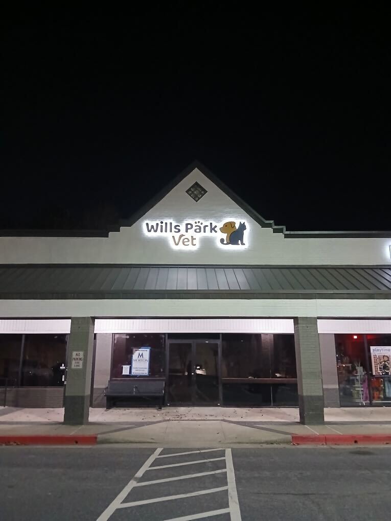 Illuminated Signs That Shine Day and Night