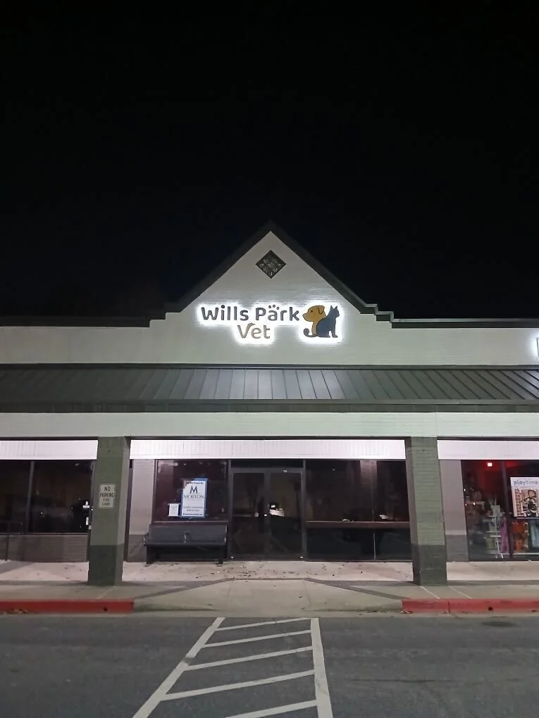 Illuminated Signs That Shine Day and Night