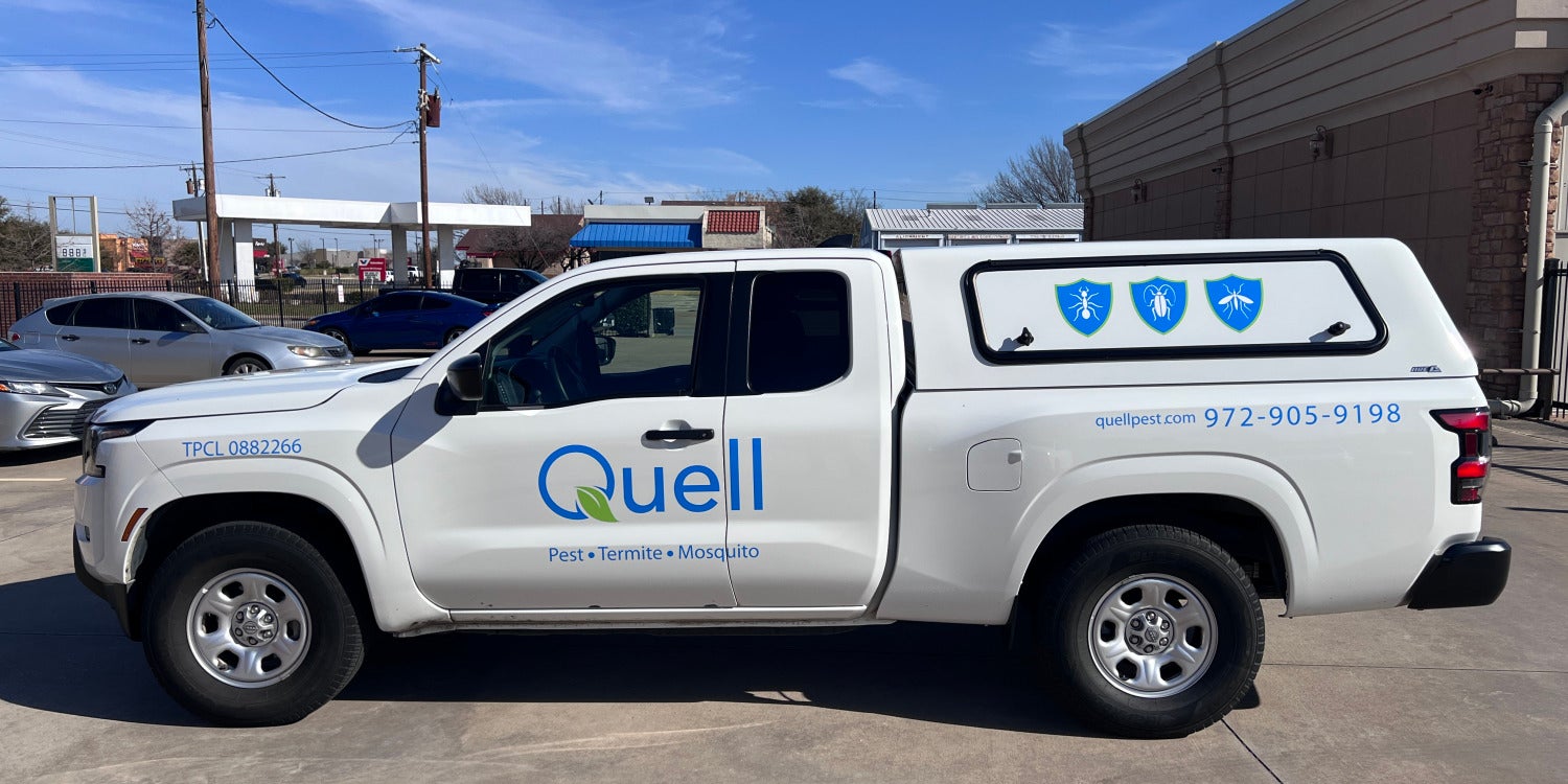 Truck Graphics