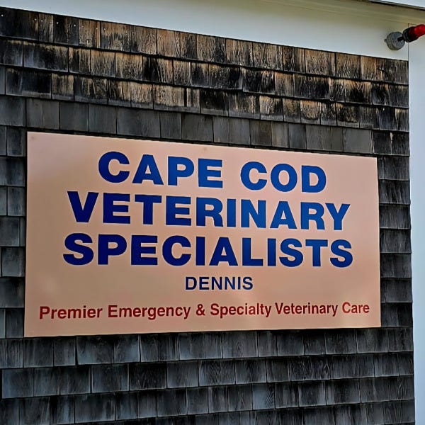 CCVetSpec