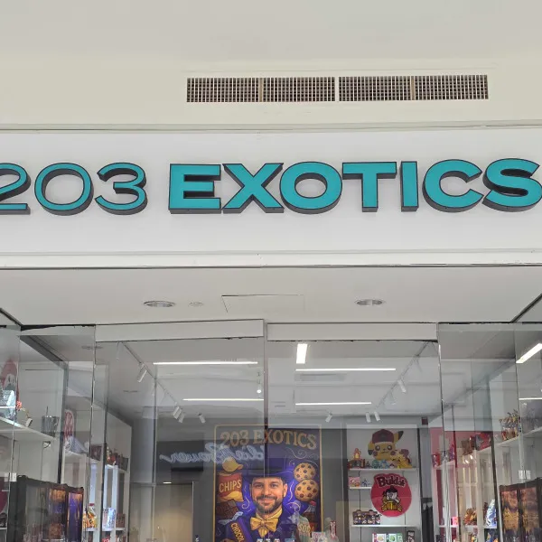 203 exotics - Danbury mall Channel Letters