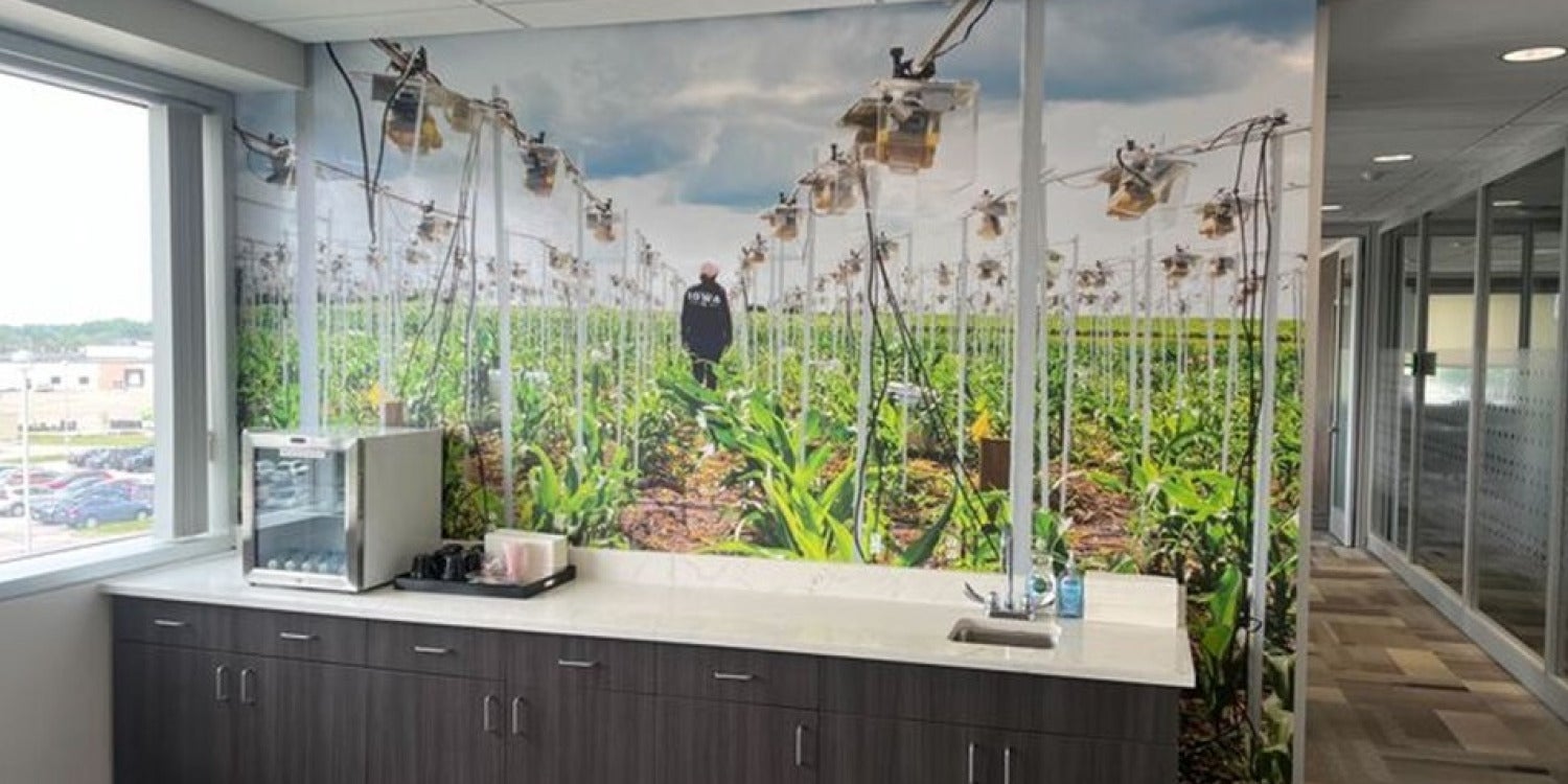 Wall Graphics