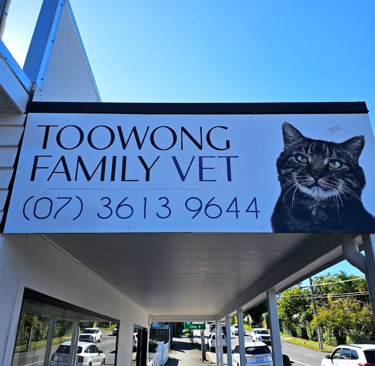 One Way Vision Window Graphics and ACP Panels