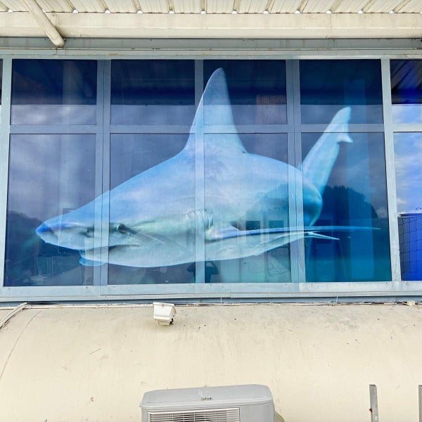 Réalisation en vitrophanie microperforée pour le Seaquarium du Grau-du-Roi