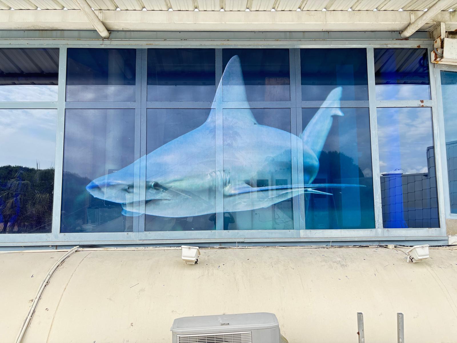 Réalisation en vitrophanie microperforée pour le Seaquarium du Grau-du-Roi