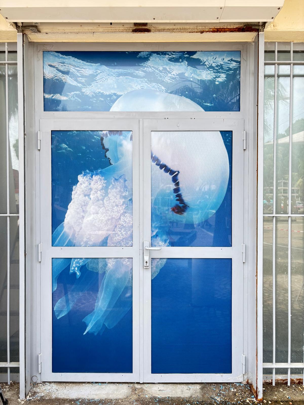 Réalisation en vitrophanie microperforée pour le Seaquarium du Grau-du-Roi