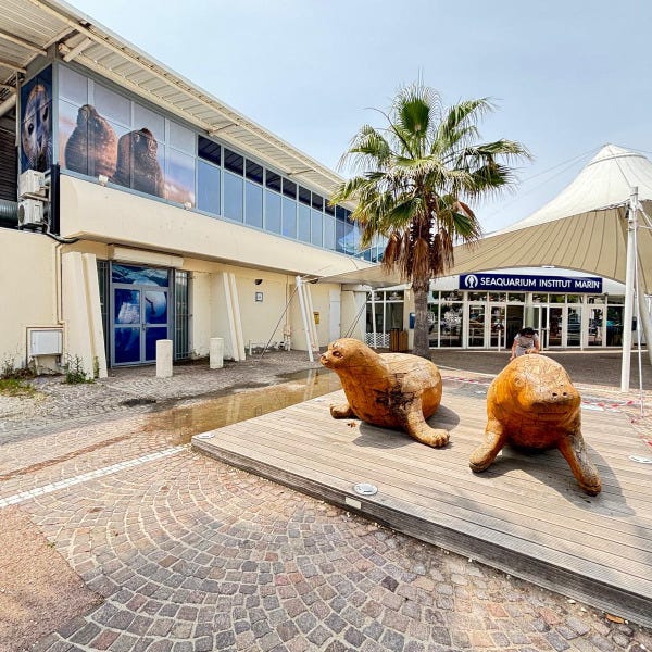 vitrophanie-seaquarium-le-grau-du-roi-by-signarama-34
