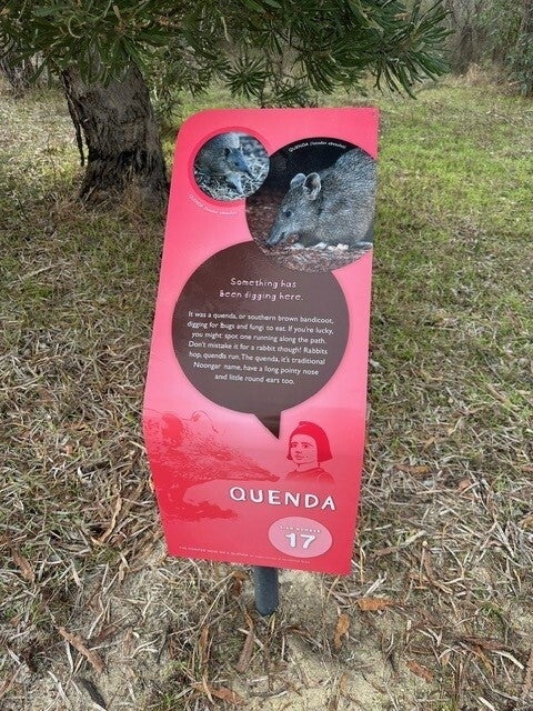 Transforming Trails with Storytelling at Whiteman Park! 