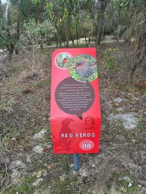 Transforming Trails with Storytelling at Whiteman Park! 