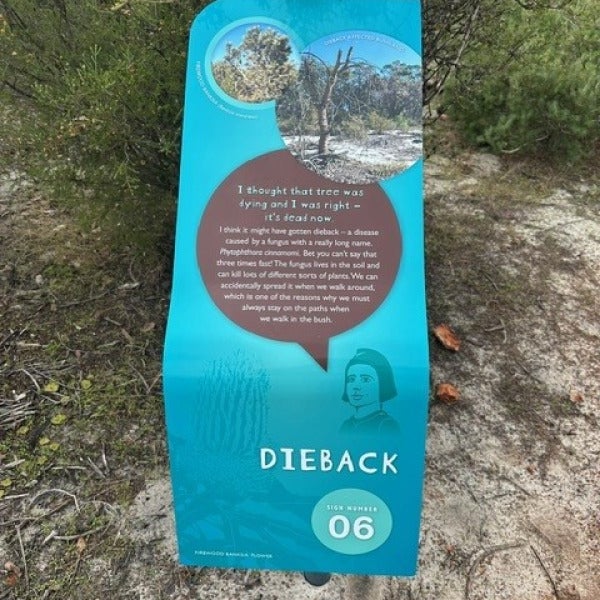 Transforming Trails with Storytelling at Whiteman Park! 