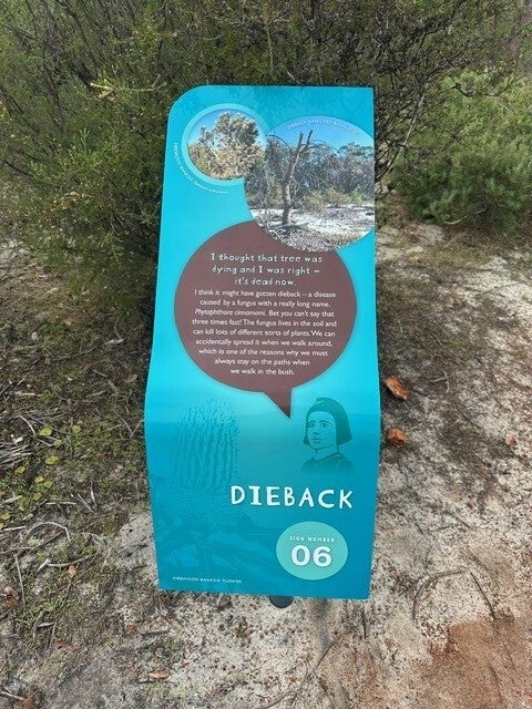 Transforming Trails with Storytelling at Whiteman Park! 