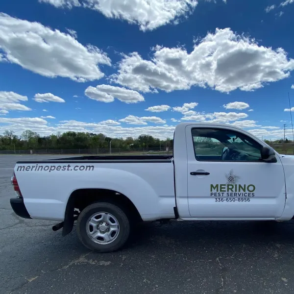 Merino Truck 2