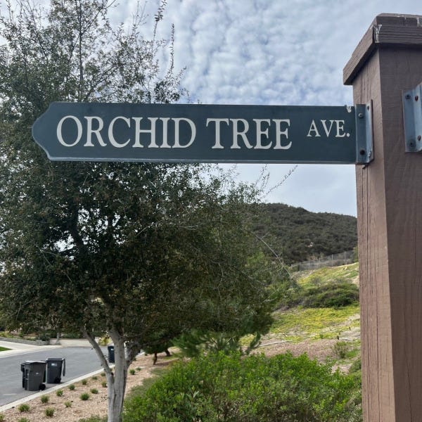 Street Sign