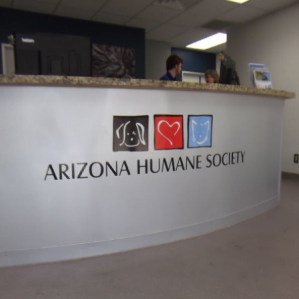 Your Guide to Professional Custom Signs in Queen Creek, AZ: From Design to Installation