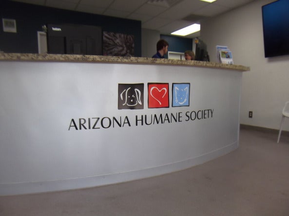 Your Complete Guide to Professional Signage Solutions: From Design to Installation