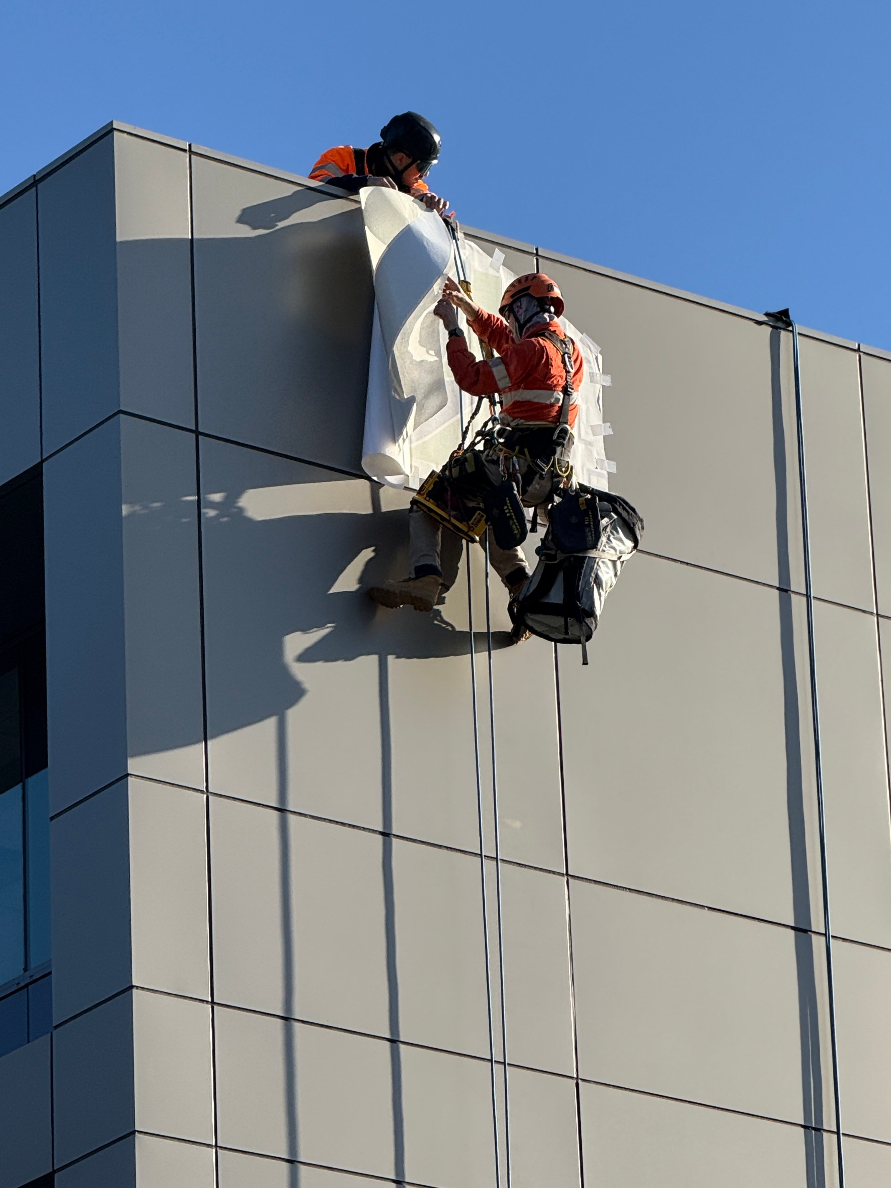 Elevating Black Swan Health’s Brand with Bespoke Building Signage