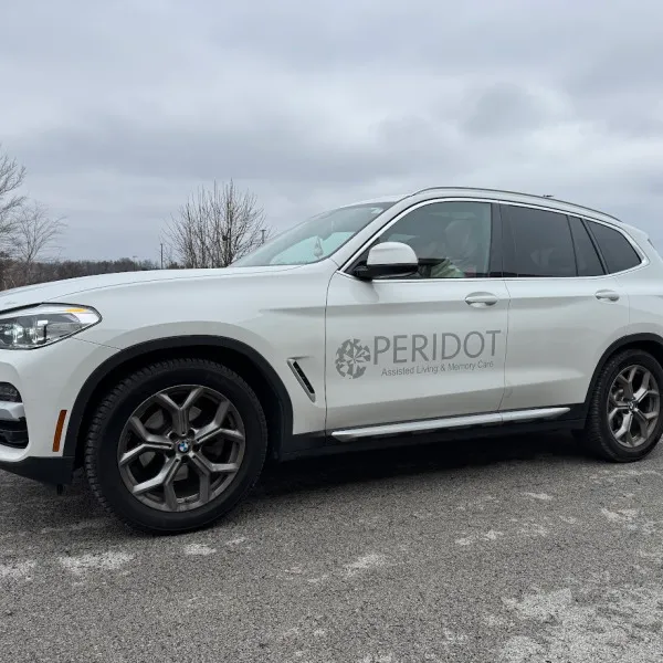 Vehicle Lettering