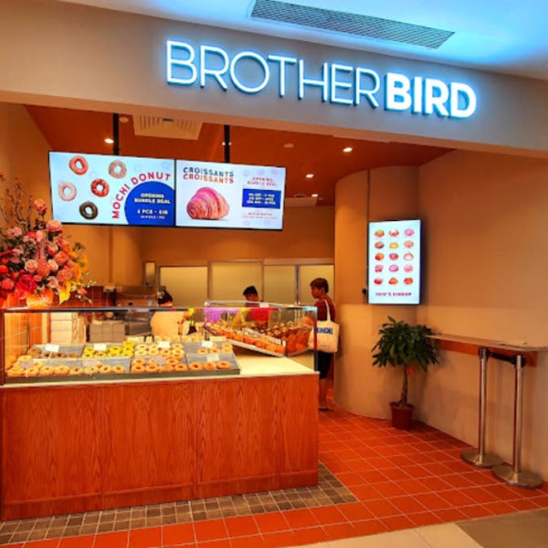 Lighting Up Brother Bird!