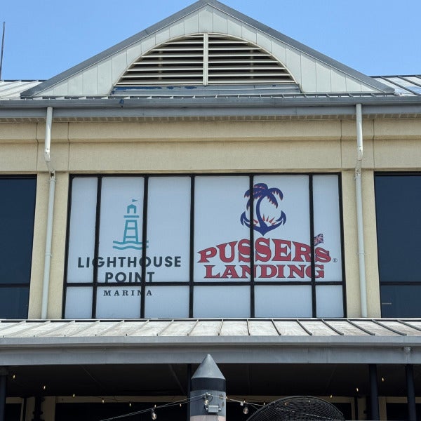 Window Perforated Graphics