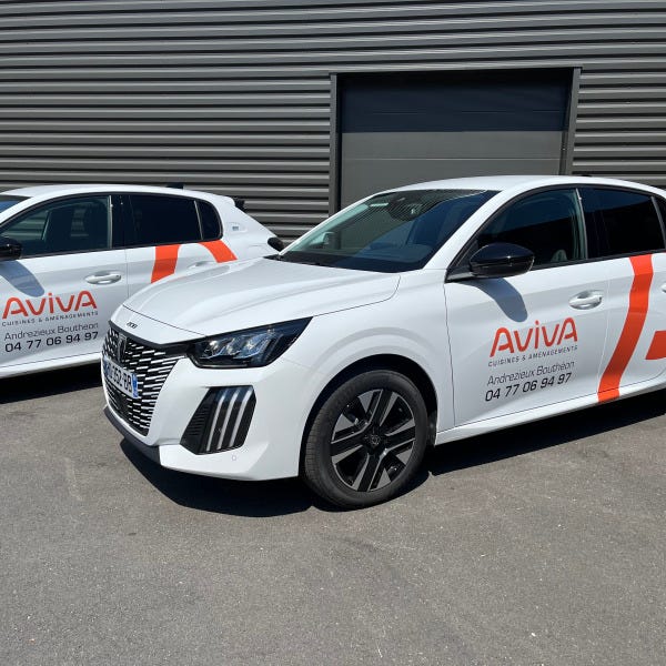COVERING-AUTOMOBILE-AVIVA-CUISINE-SIGNARAMA-ANDREZIEUX-42.jpg