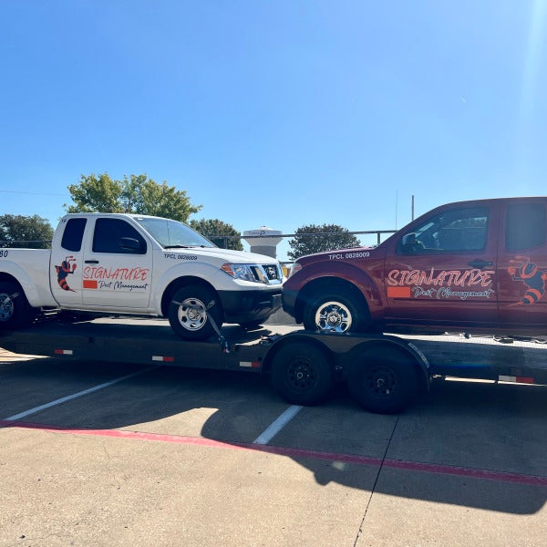 Vehicle Graphics That Work for Your Business