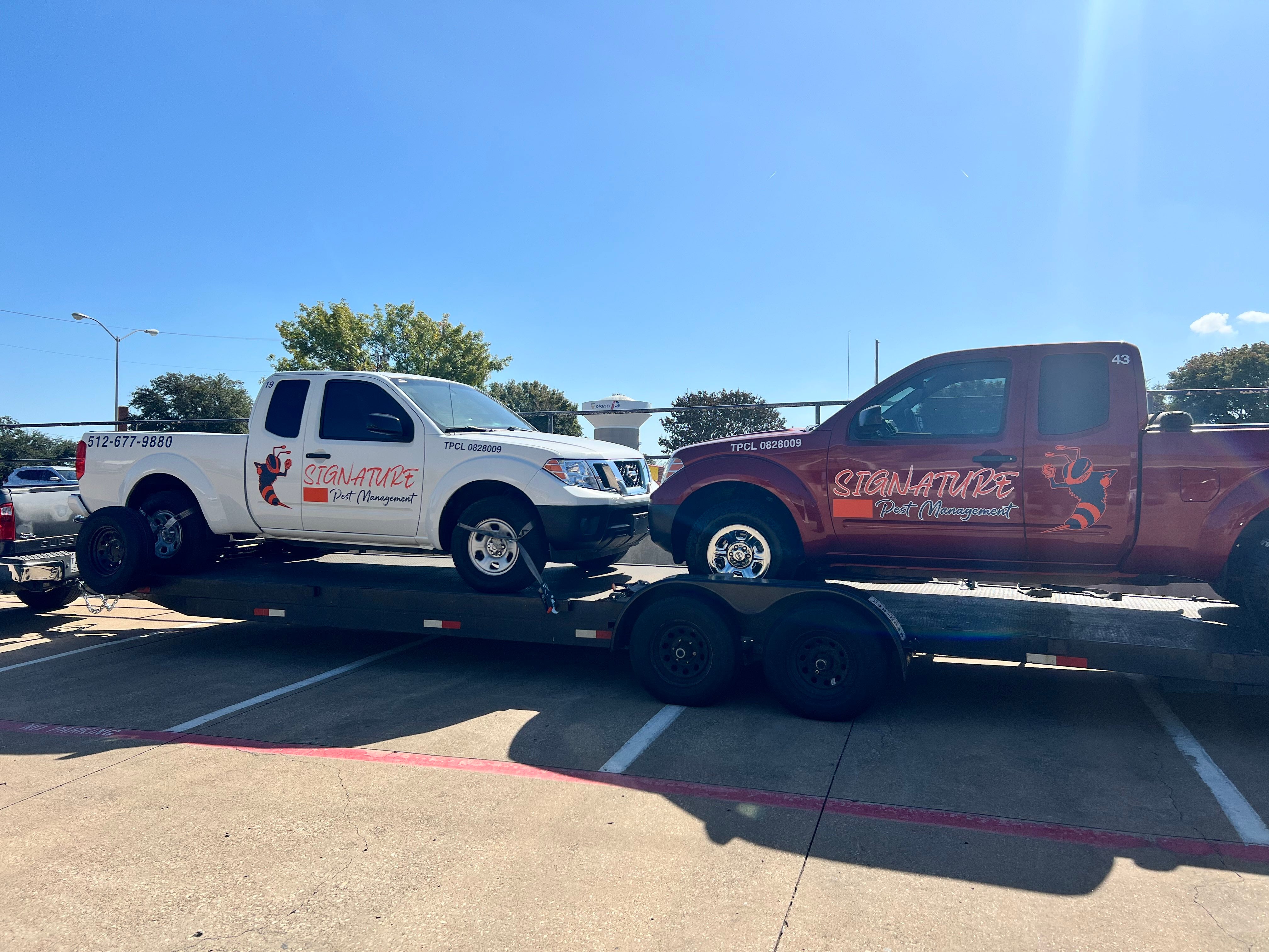 Vehicle Graphics That Work for Your Business