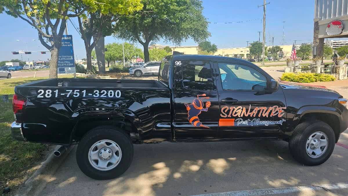 Vehicle Graphics That Work for Your Business
